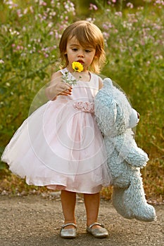 Dressy two-year-old girl in pink dress holding stuffed bear and flower photo