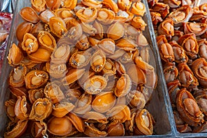 Dried abalone on market stall