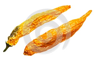 Dried Aji Giallo Arancio C baccatum, top, paths photo