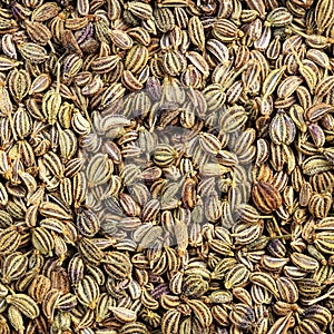 Dried Ajwain seeds close up