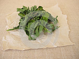 Dried alfalfa, lucern leaves photo