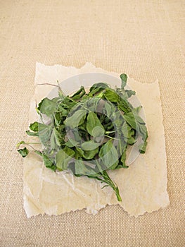 Dried alfalfa, lucern leaves photo