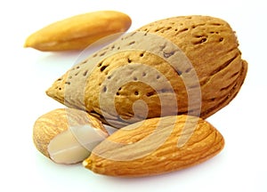 Dried almond