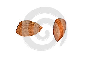 Dried almond fruit shell and almonds on a white background