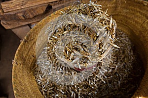 Dried Anchovies fish ideal for flavoring African food selling at market in Tanzania, Africa photo