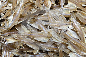 Dried Anchovy Fish
