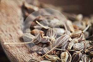 Dried anise seed