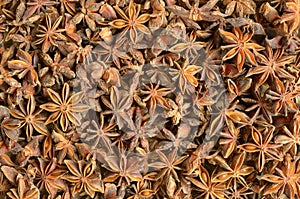 Dried aniseeds