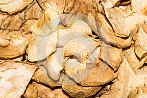 Dried apples.The texture of the apples.