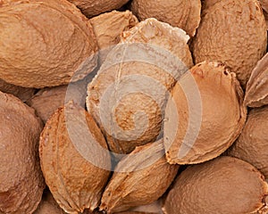 Dried Apricot Kernels the seed of an apricot, often called a `stone`. Amygdalin. Vitamin B17.