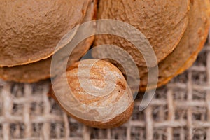 Dried Apricot Kernels the seed of an apricot, often called a `stone` on natural burlap . Amygdalin. Vitamin B17.