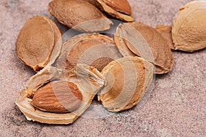 Dried Apricot Kernels the seed of an apricot, often called a `stone` on natural stone. Amygdalin. Vitamin B17.