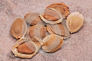 Dried Apricot Kernels the seed of an apricot, often called a `stone` on natural stone. Amygdalin. Vitamin B17.