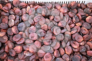 Dried Apricot of Malatya photo