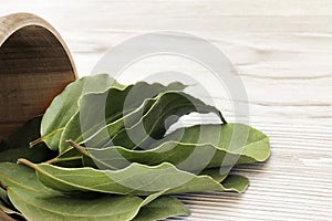 Dried aromatic bay leaves in a wooden bowl on the white wooden rustic table. Photo of laurel bay harvest for eco cookery business.