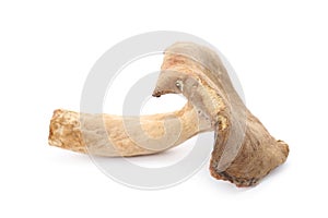 Dried aromatic chanterelle mushroom