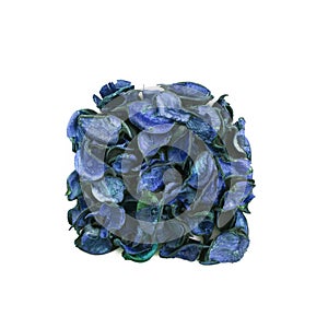 Dried aromatic Essences in white background