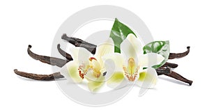 Dried aromatic vanilla sticks, flowers and green leaves on white background