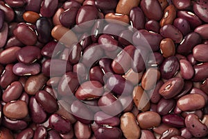 Dried Ayuote Morado beans photo