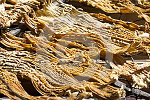 Dried Bamboo Shoots