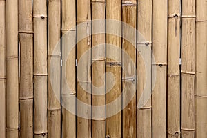 Dried bamboo texture pattern background, Zen art design for power point or graphic template for cafe advertisment