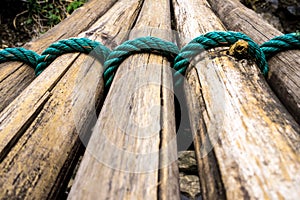 Dried bamboo tie with green nylon rope