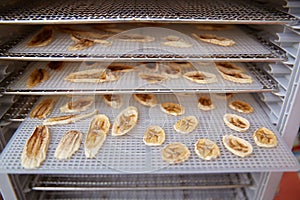 Dried bananas on the grid of an electric dehydrator.