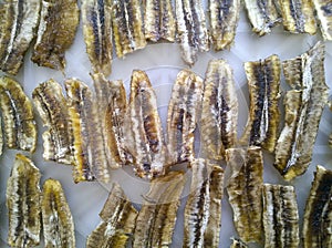 Dried bananas in household dehydrator