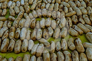 Dried bananas with solar cell, Food Preservation.