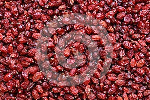 dried barberries from Iran