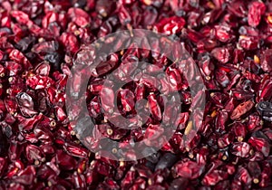 Dried barberry background