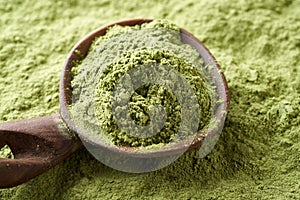 Dried barley grass powder on a spoon