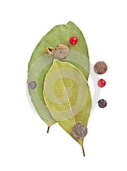 Dried bay laurel leaves and peppercorns isolated on a white background