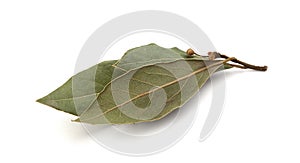 Dried bay leaf