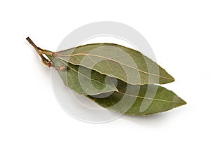Dried bay leaf