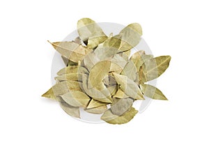 Dried bay leaves stack  isolated on white