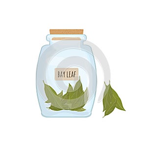 Dried bay leaves stored in clear jar isolated on white background. Piquant condiment with pungent smell, food spice photo