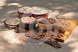 Dried Beans 5143