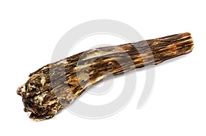 Dried beef tail for chewing dogs on white background photo