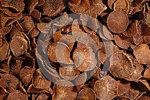 Dried betel nut background