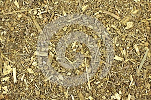 Dried Bitter wormwood background
