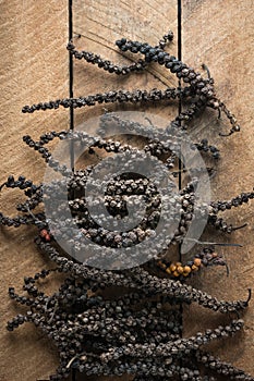 Dried black peppercorns, on wooden table top