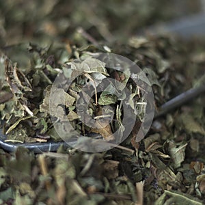 Dried blackberry leaves