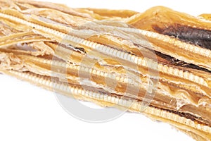 Dried blackmouth catshark Galeus melastomus