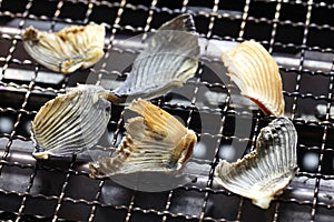 Dried blowfish fins for Hirezake japanese hot sake drink .