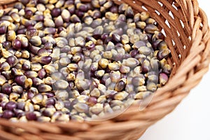 Dried blue corn kernels in rattan wooden bowl. Mexican Hopi maize