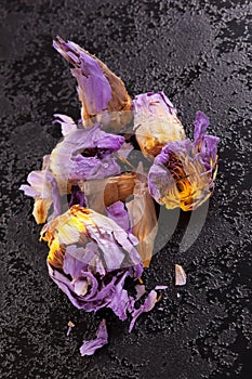 Dried Blue Lotus Flower.