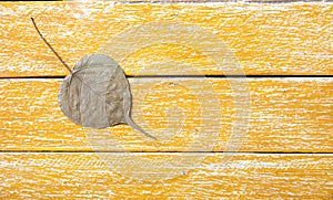Dried Bo leaf on yellow wood
