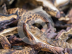 Dried bolete mushrooms