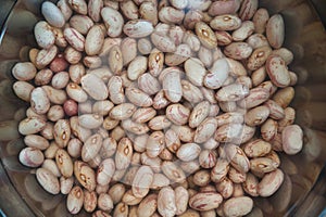 Dried Borlotti Beans Submerging in a Bowl of Water, Initiating the Rehydration Process for Cooking